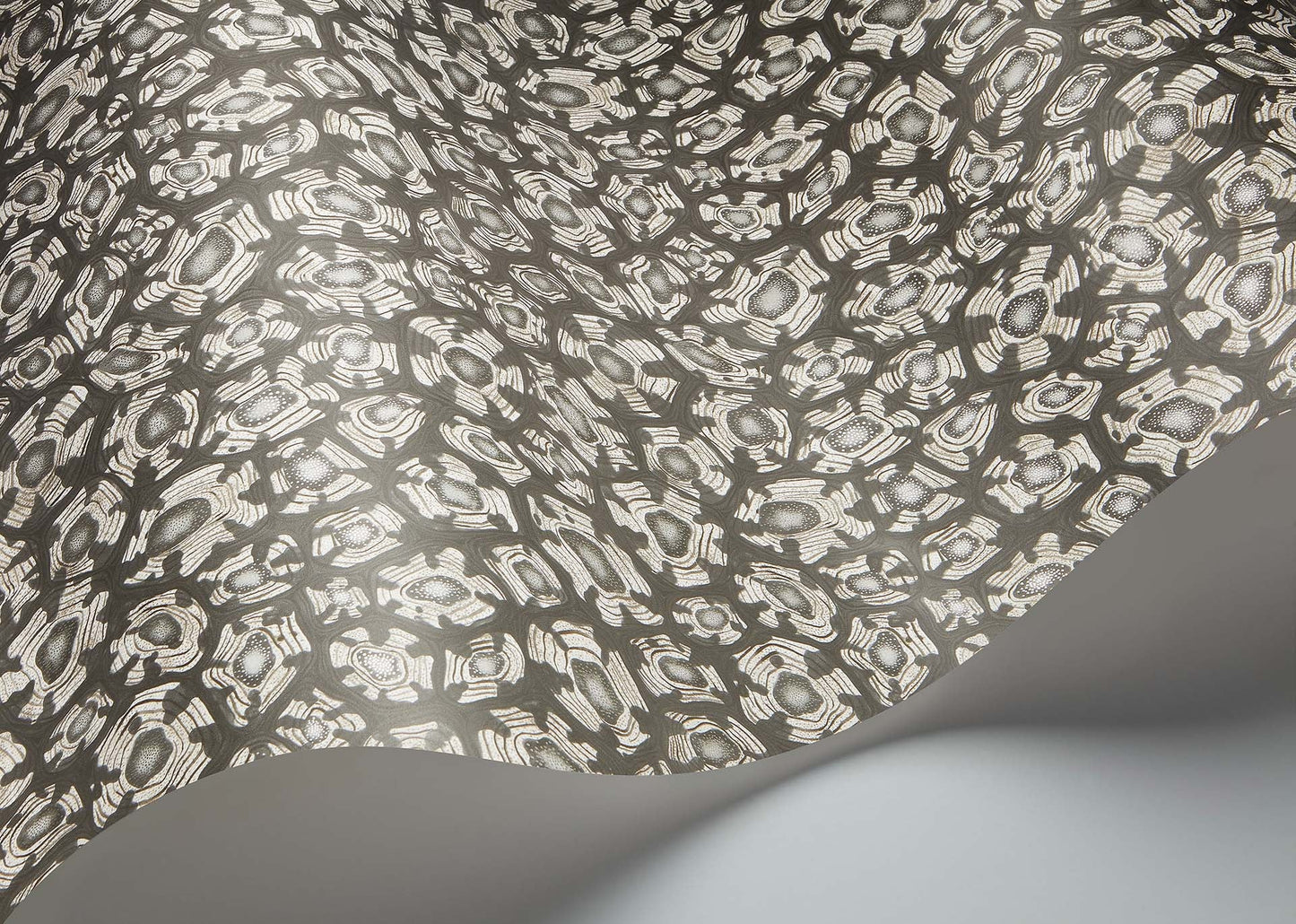 Savanna Shell Wallpaper - Soot & Snow & Metallic Silver - 119/4023