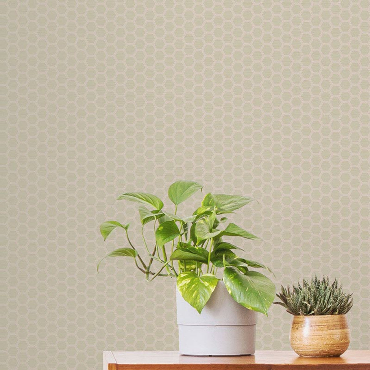 12636 - Hexie Astoria Fantasia Wallpaper - Beige/Pink - Ted Baker