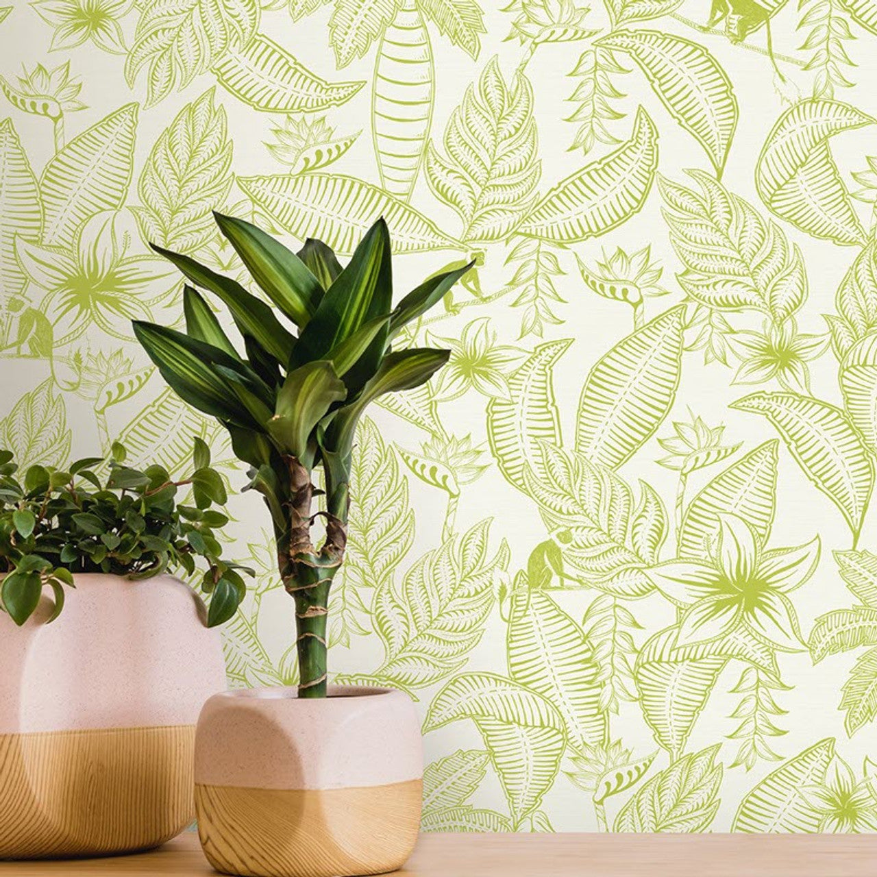 12700 - Monflo Fantasia Wallpaper - Green/White - Ted Baker
