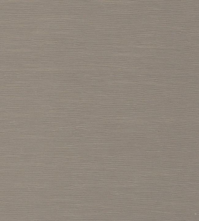 Delphos Fabric - Gray - Zoffany