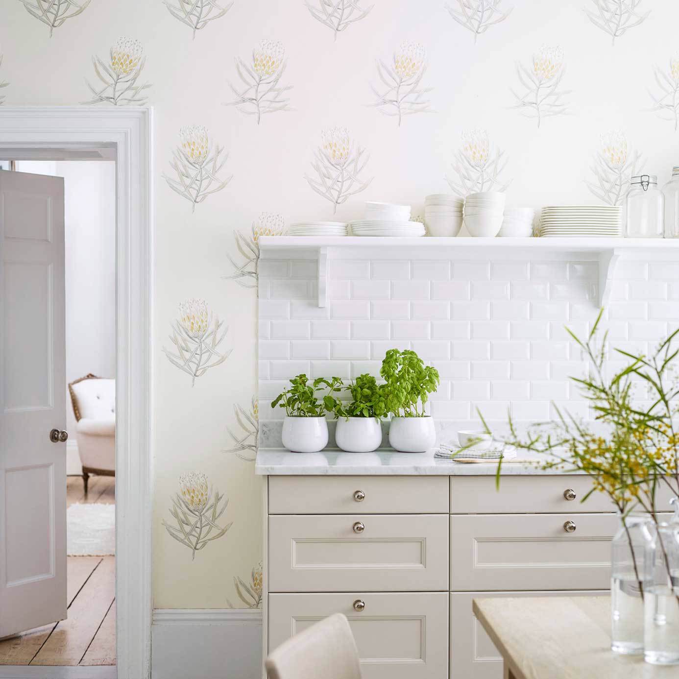 Protea Flower Wallpaper - Porcelain/Blush - DART216330