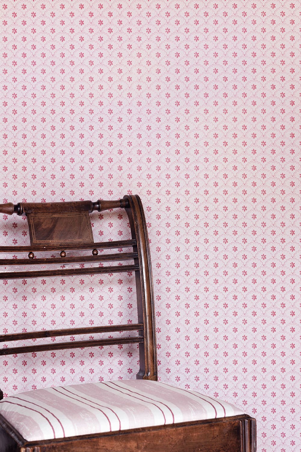 Daisy Scallops Wallpaper - Red / Pink - BG3000202 - Barneby Gates