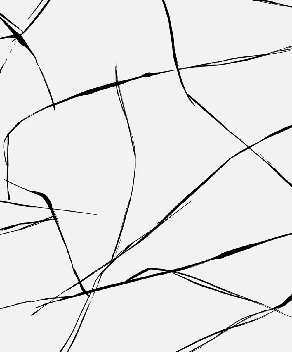 Inkwork Abstract Peel & Stick Wallpaper