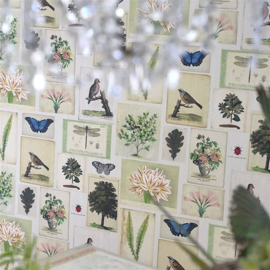 Flora And Fauna Wallpaper