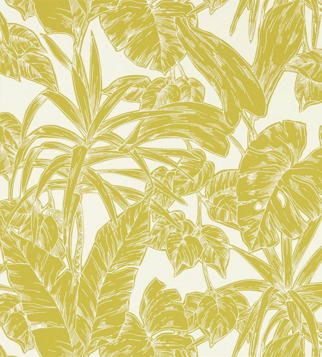 Parlour Palm Wallpaper - Citrus - NZAW112022 - Scion