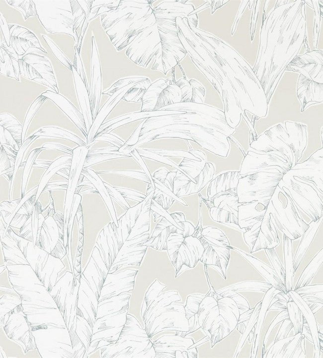 Parlour Palm Wallpaper - Raffia - NZAW112026 - Scion