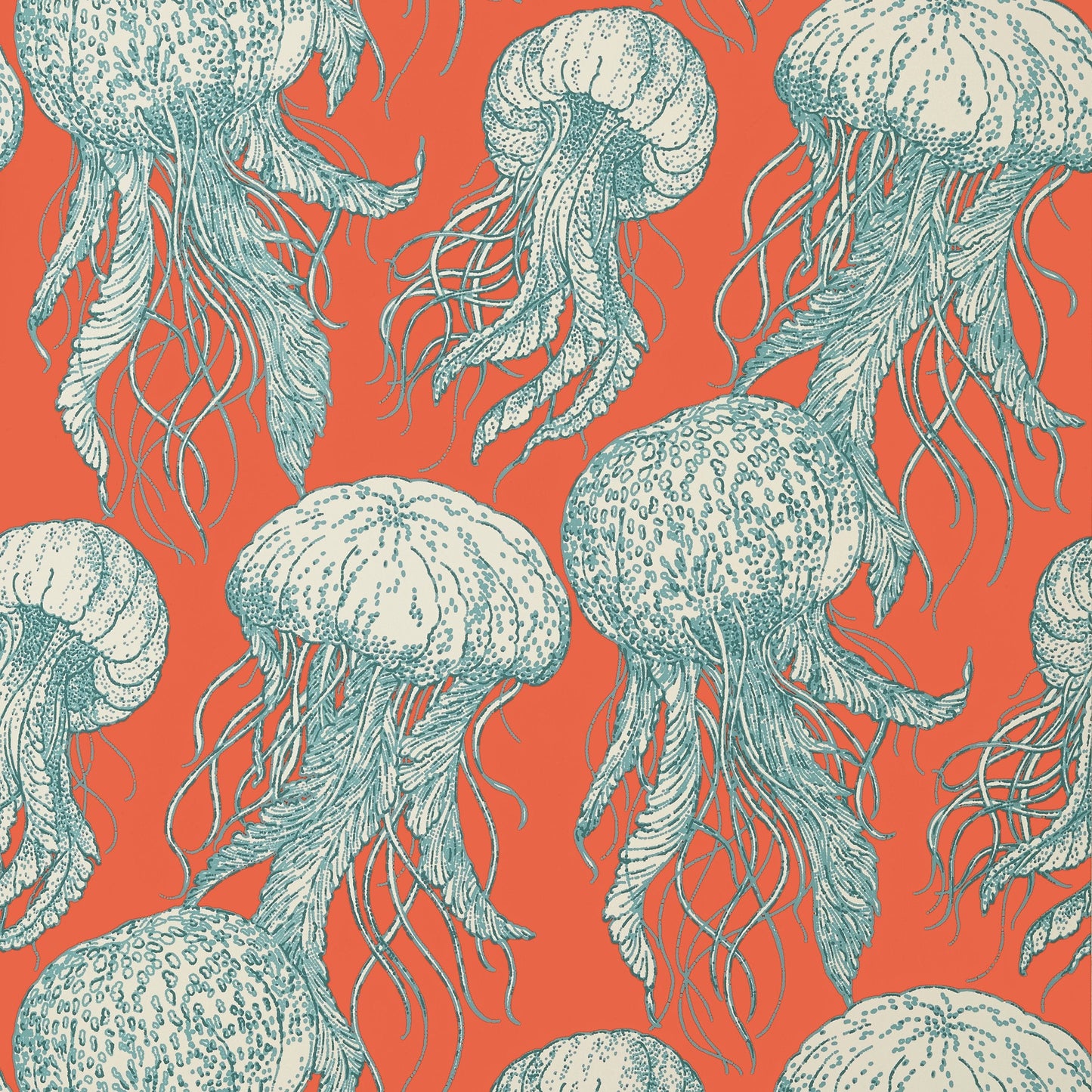 Jelly Fish Bloom Wallpaper