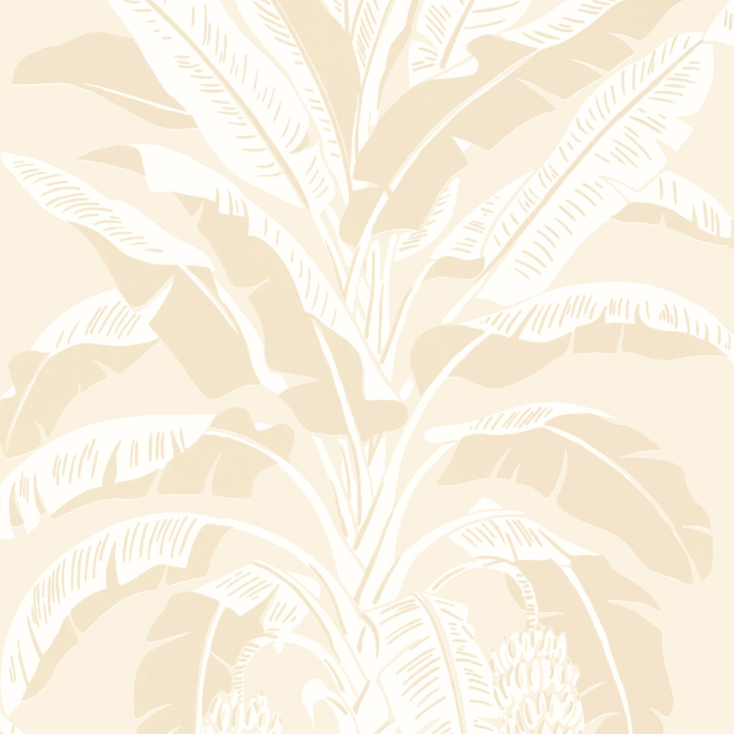 Banana Tree Wallpaper