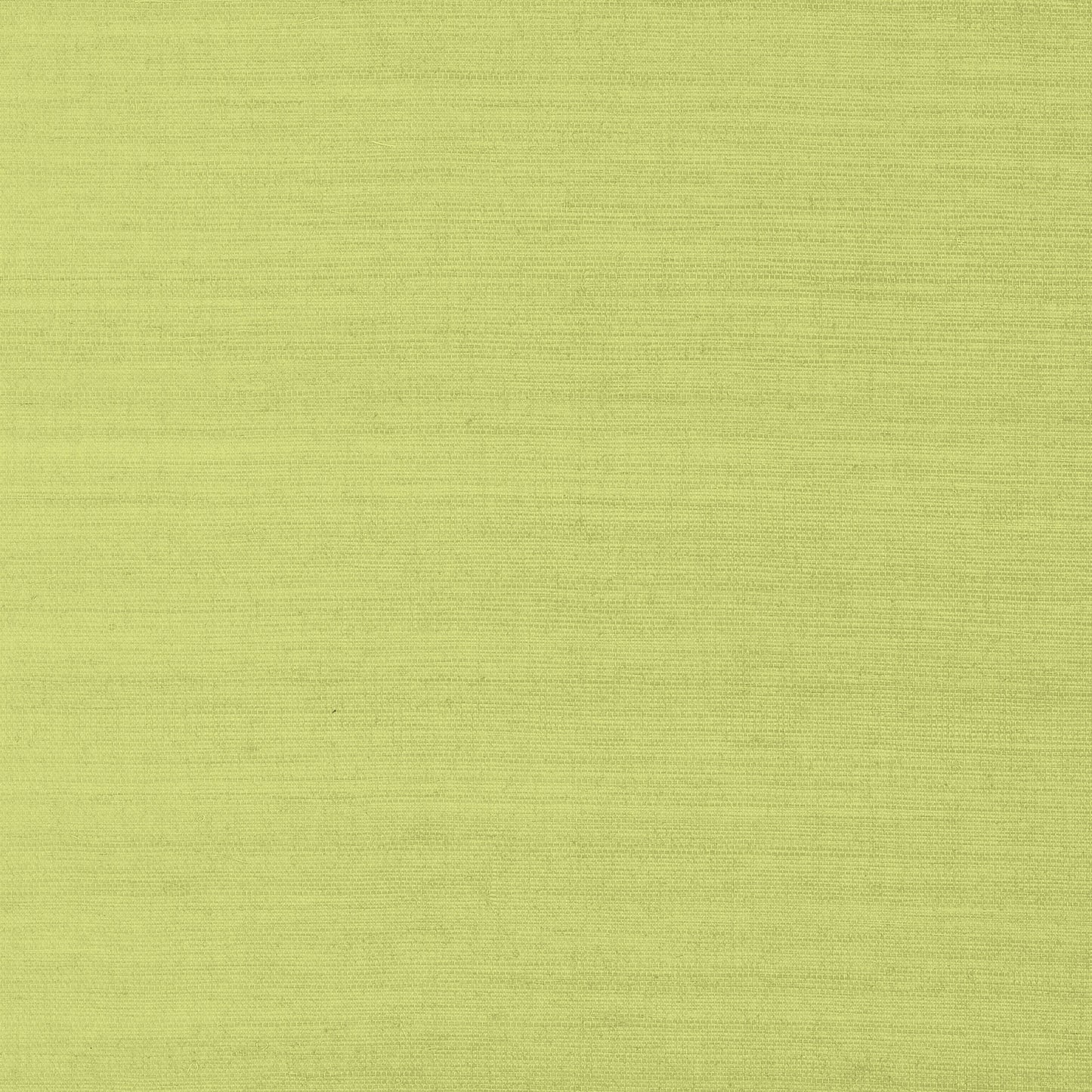 Shang Extra Fine Sisal Wallpaper