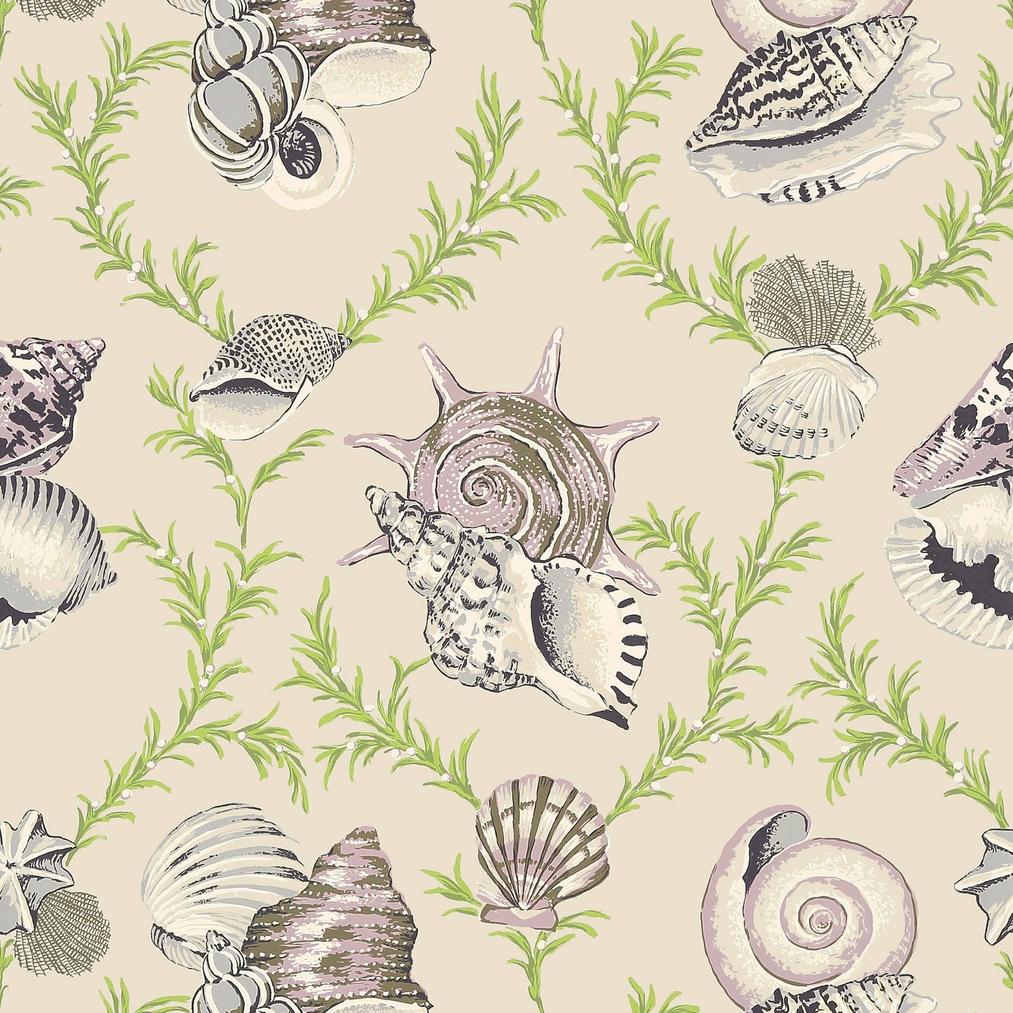 Sumba Shell Wallpaper