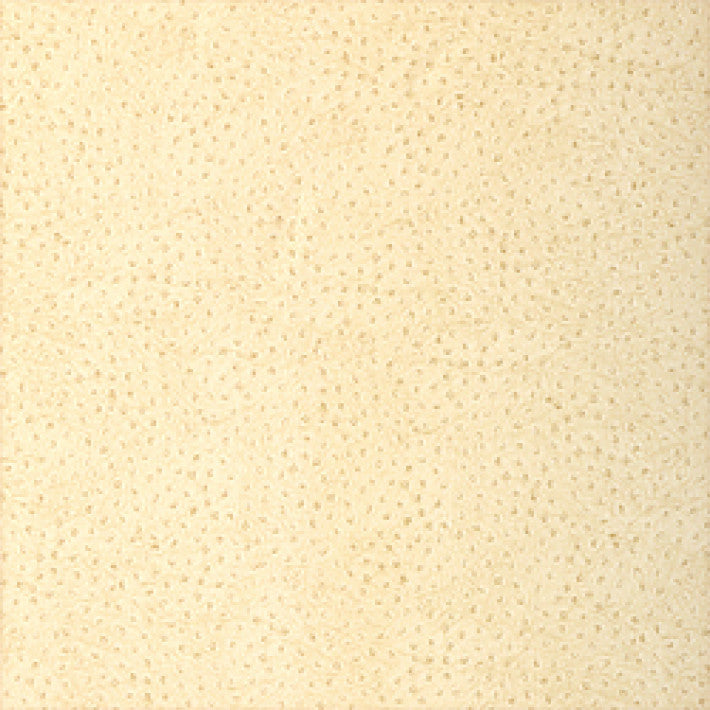 Natural Ostrich Wallpaper