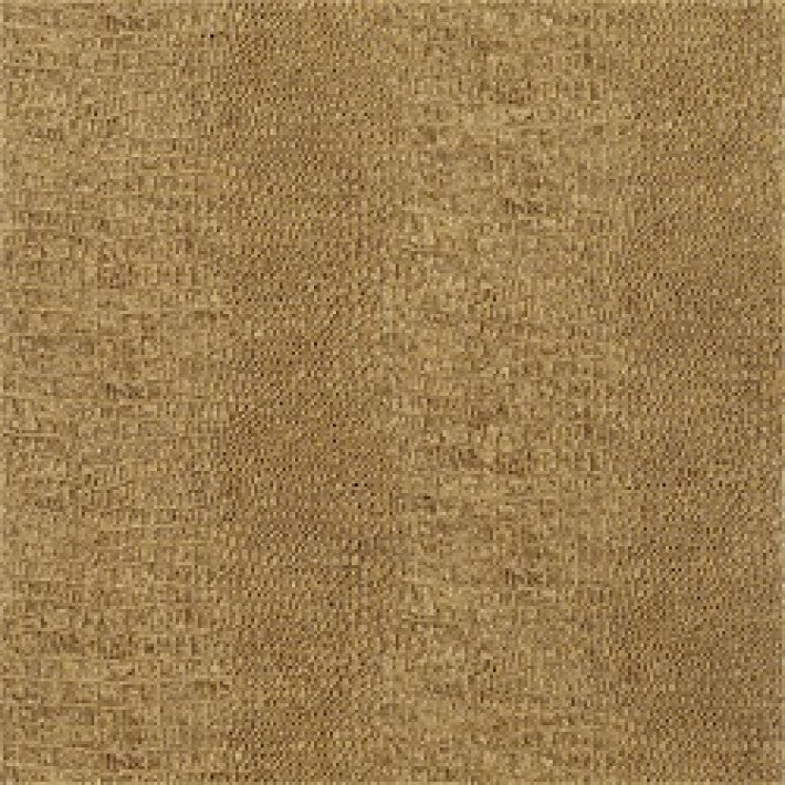 Everglades Wallpaper