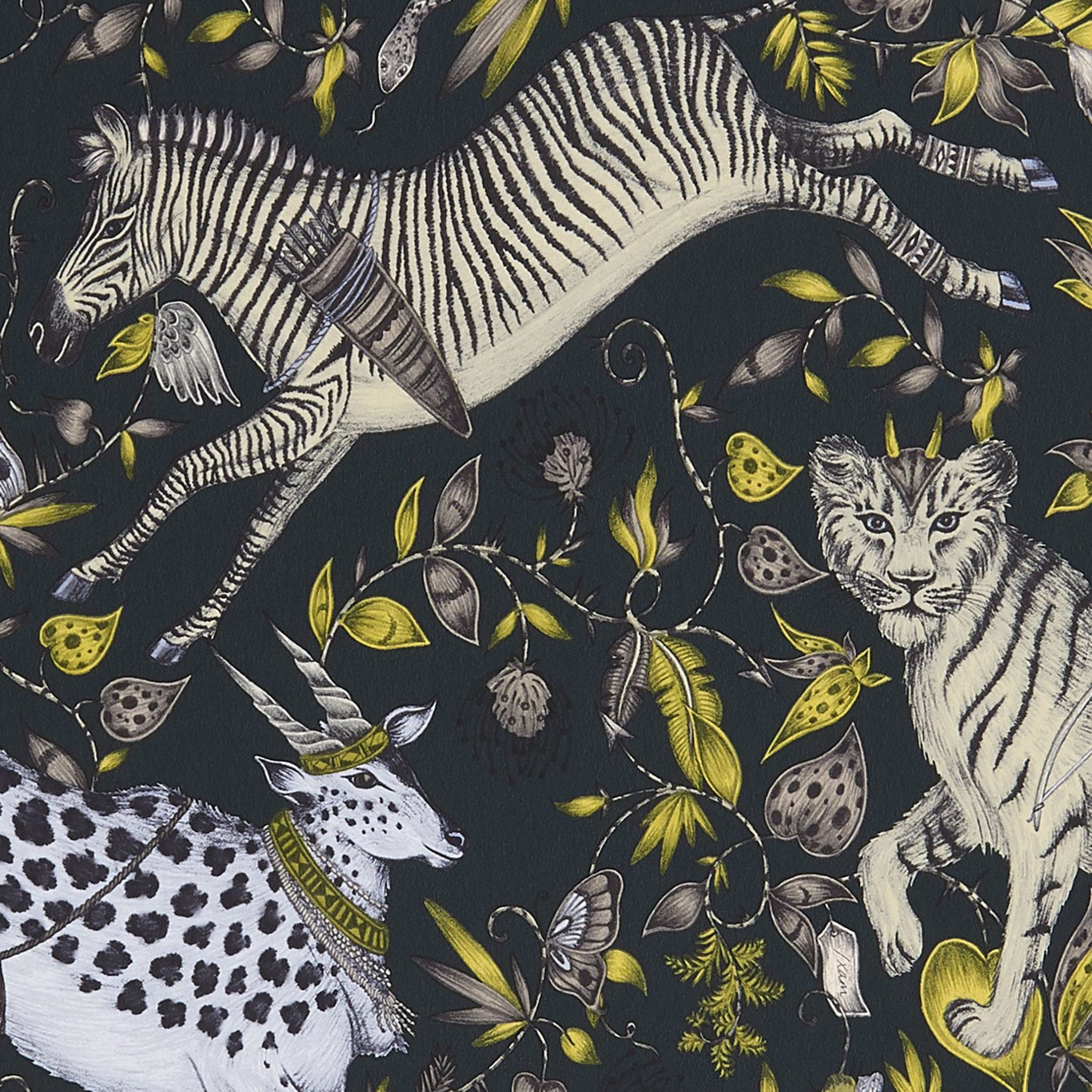 Protea Wallpaper - Charcoal - W0119/02