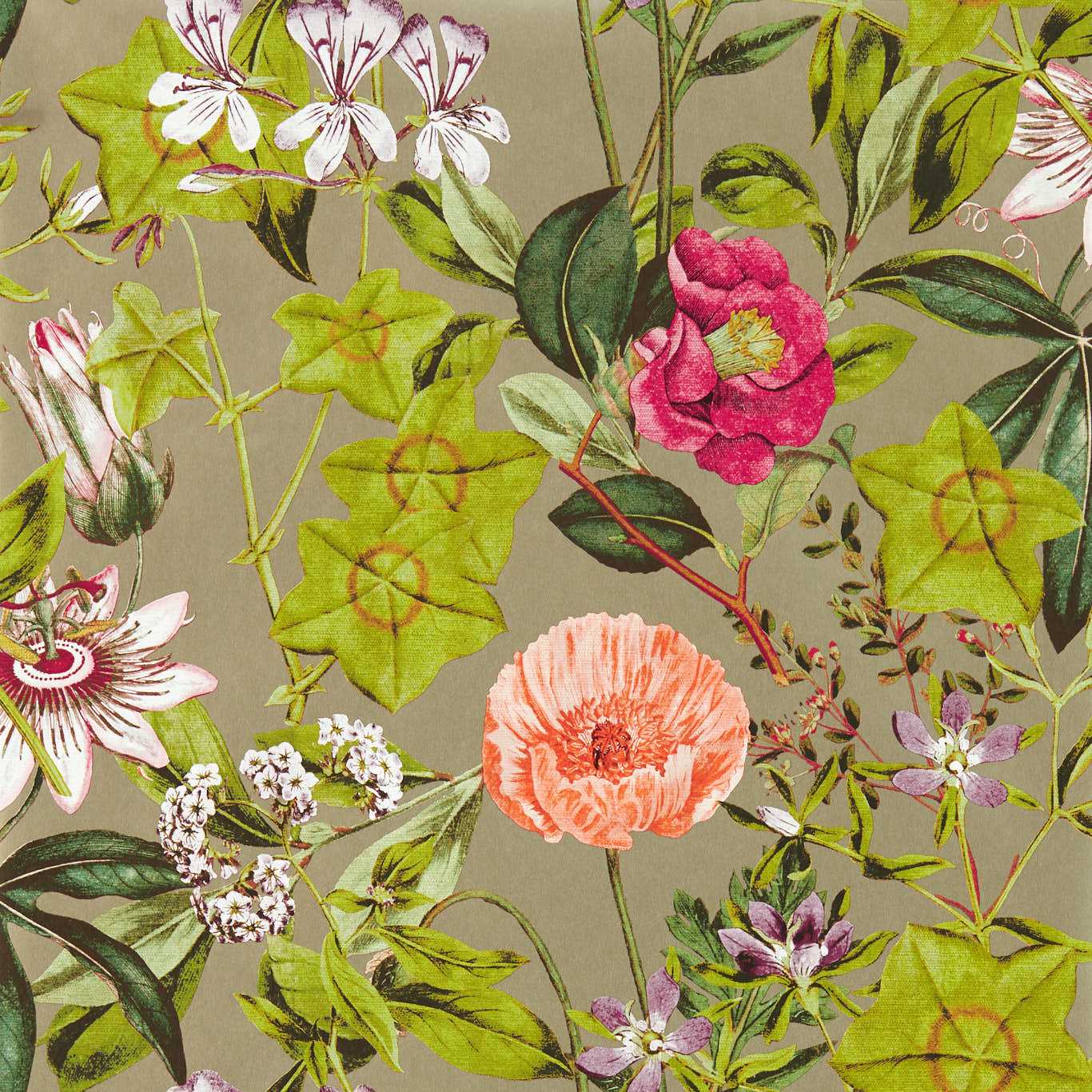 Passiflora Wallpaper - Mulberry/Gilver - W0143/03