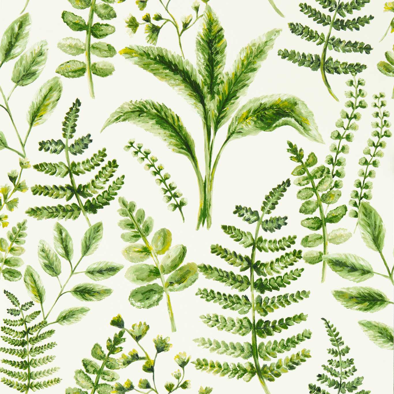 Bracken Wallpaper - Forest - W0156/02