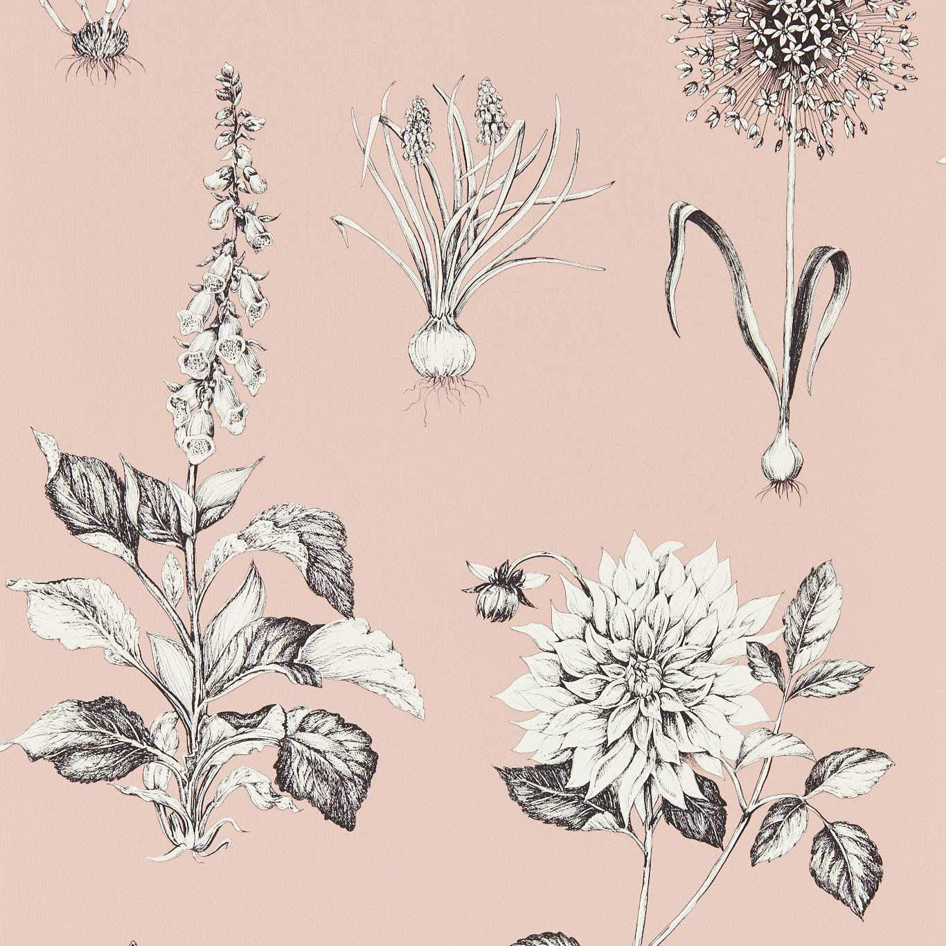 Roseraie Wallpaper - Blush - W0197/01