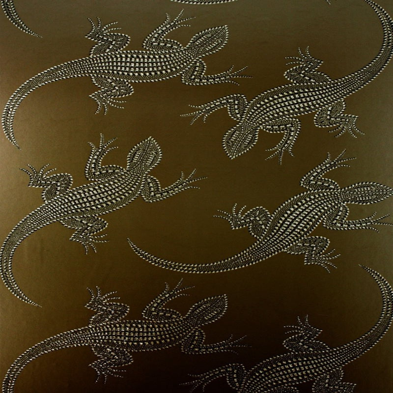 Komodo Wallpaper