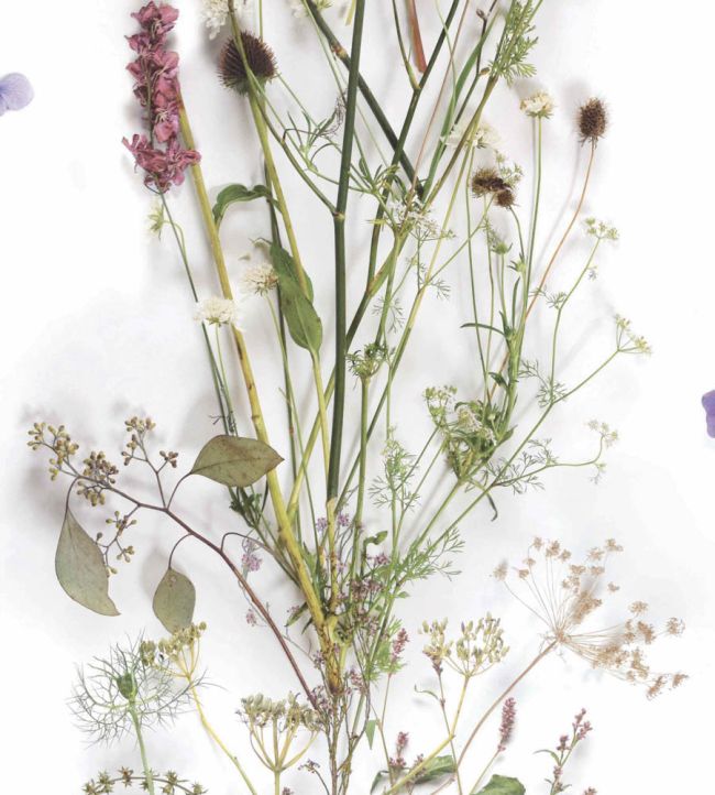 WM-008R - Nostalgia Wallpaper - Neutral - Woodchip & Magnolia