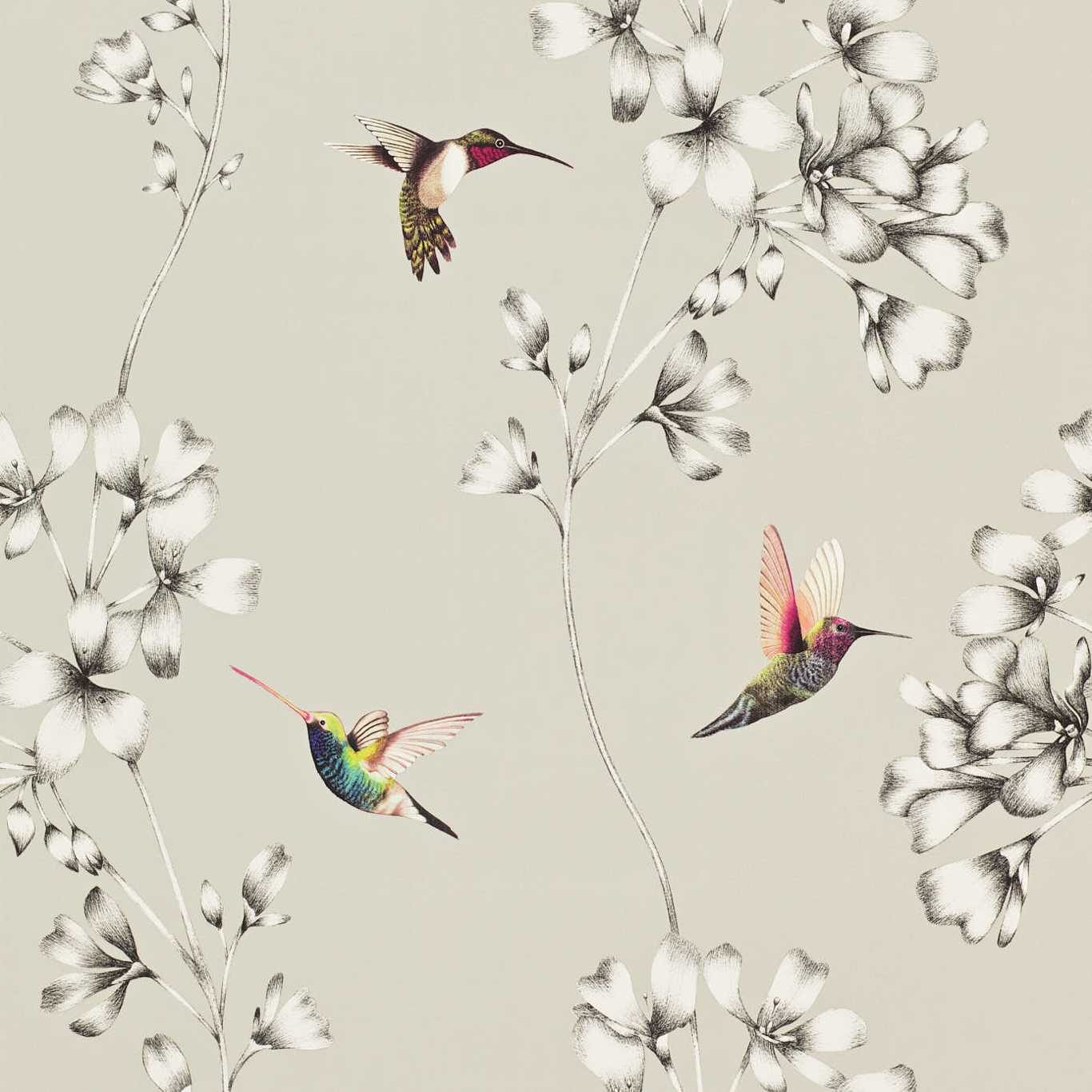 Amazilia Wallpaper - Silver - Harlequin - HAMA111062