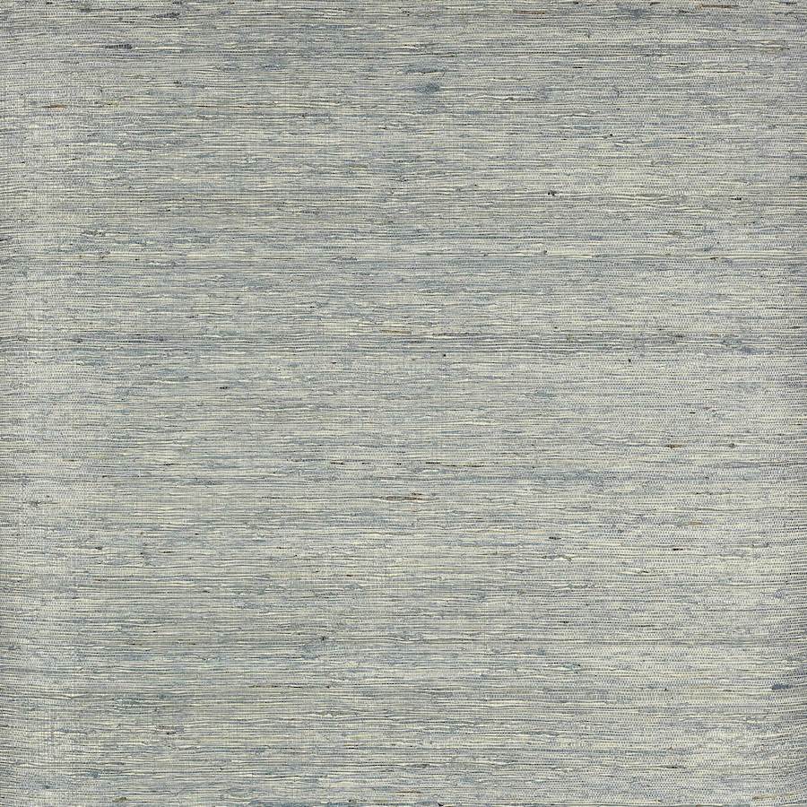 Belize Wallpaper - Blue - Colefax & Fowler - 20380 - 03 - Premier Wallcovering