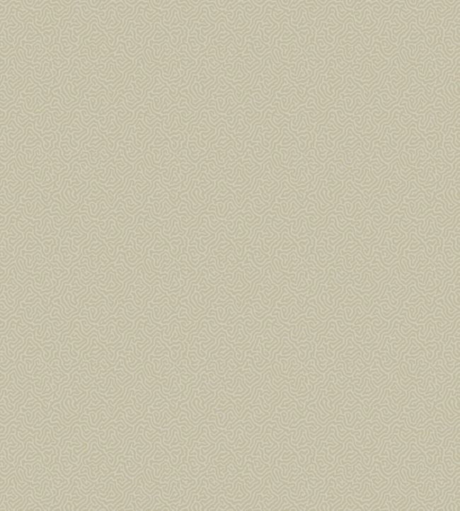 Coral Wallpaper - Stone - 106/5072 - Cole & Son - Premier Wallcovering