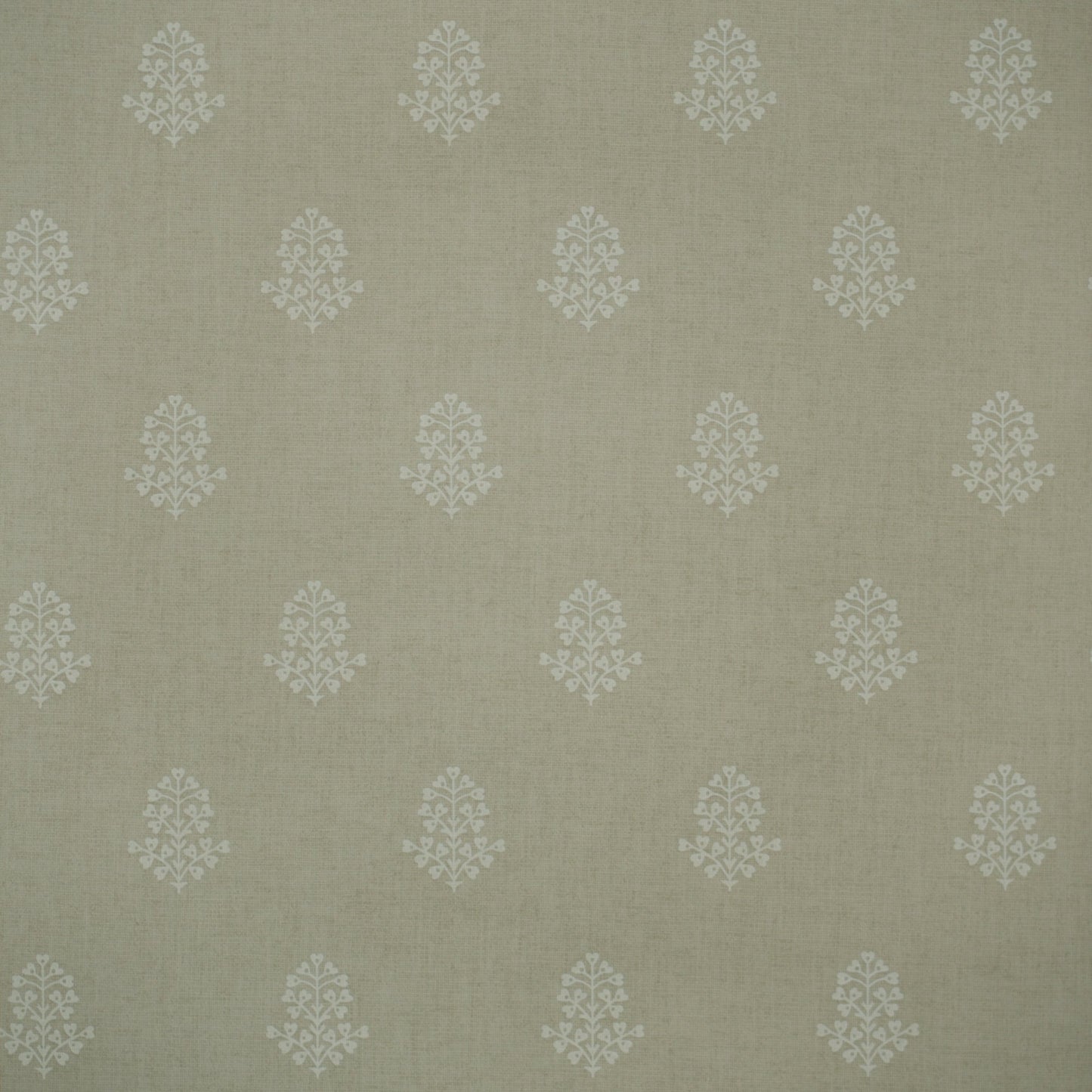 Cow Parsley Wallpaper - Stone - Andrew Martin - GPWCPST