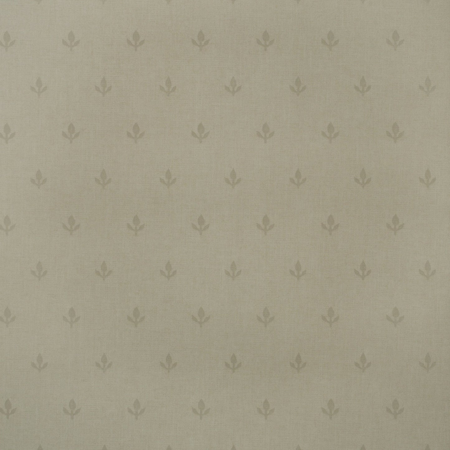 Crocus Wallpaper - Stone - Andrew Martin - GPWCRST