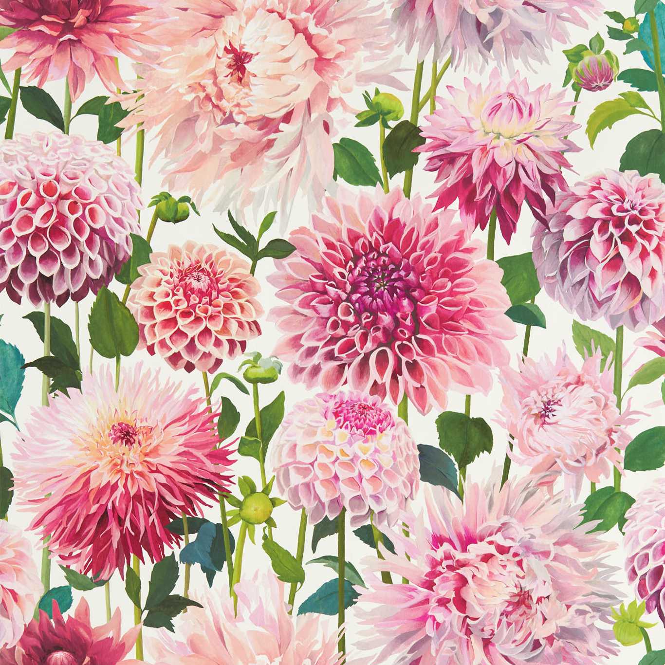 Dahlia Wallpaper - Blossom/Emerald/New Beginnings - Harlequin - HQN2112843