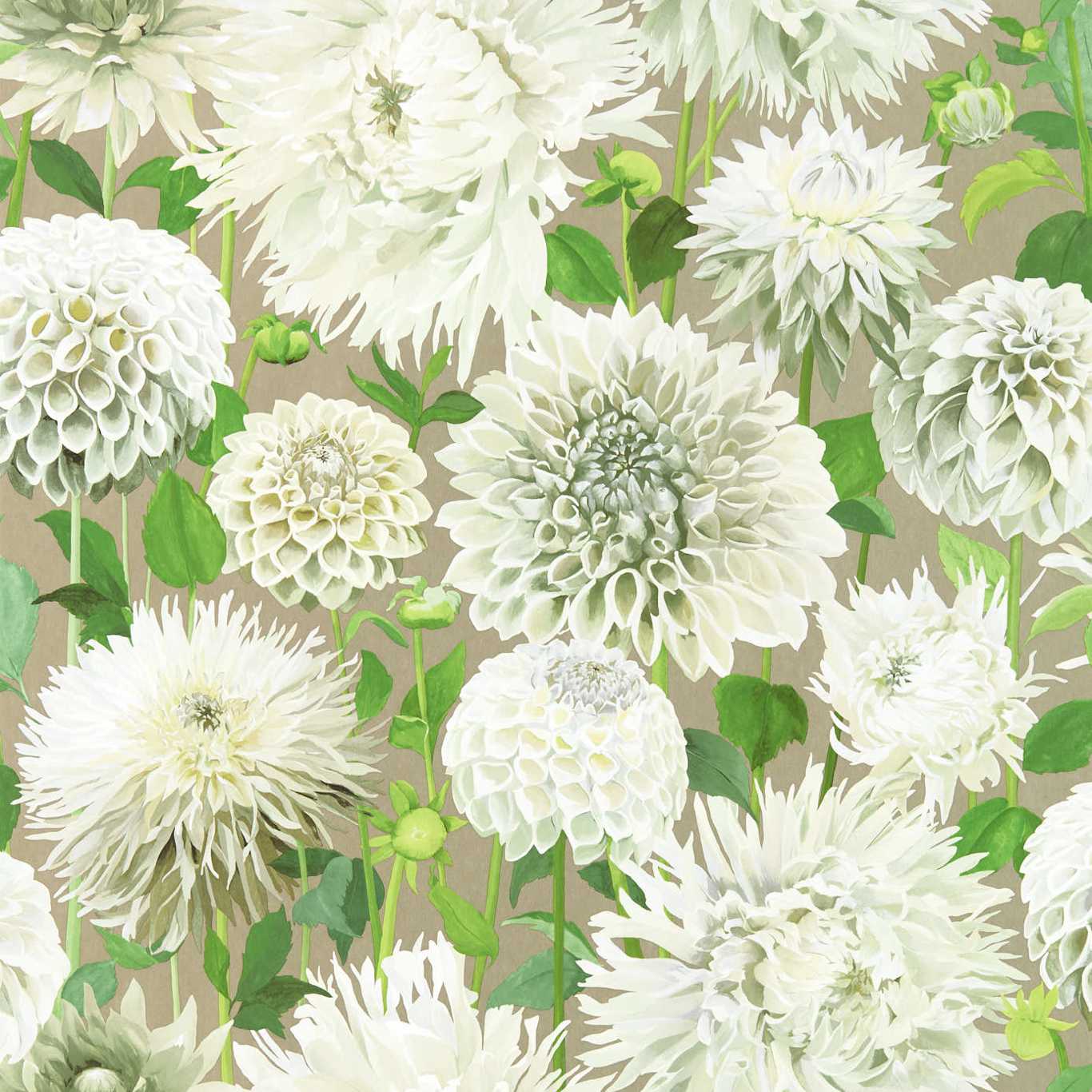 Dahlia Wallpaper - Sail Cloth/Meadow/Gilver - Harlequin - HQN2112844