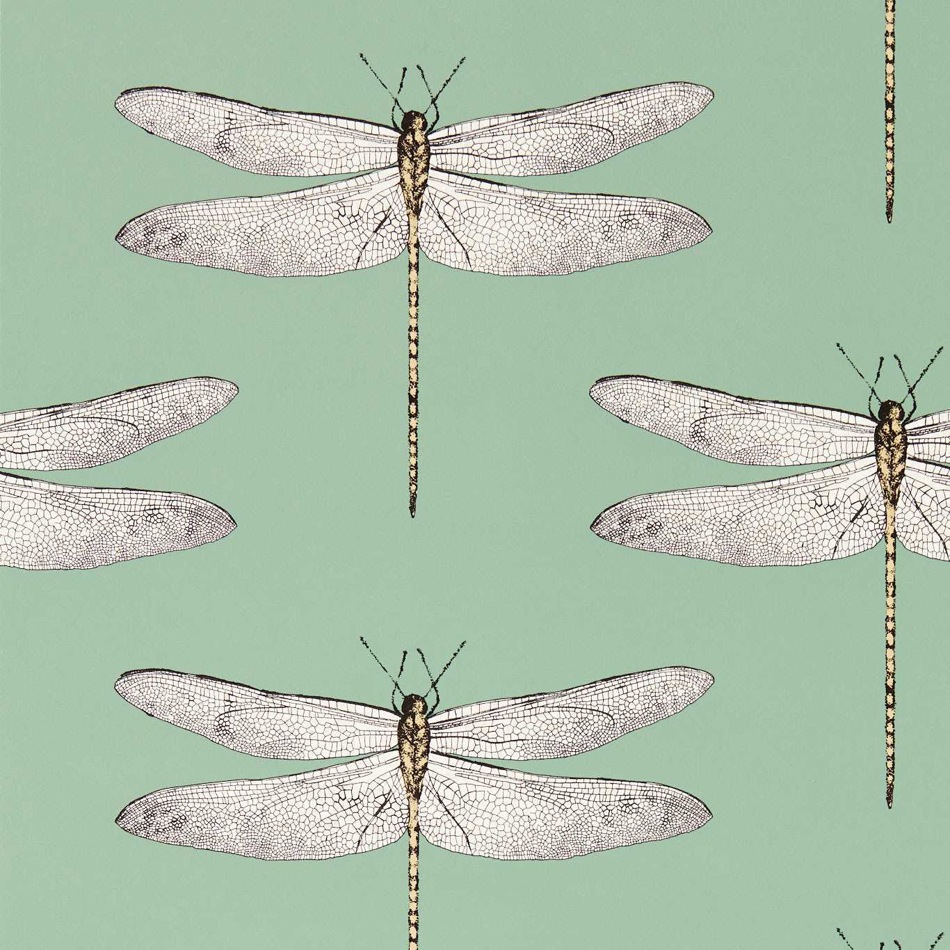 Demoiselle Wallpaper - Seaglass/First Light/Sand - HRTW113145 - Harlequin - Premier Wallcovering