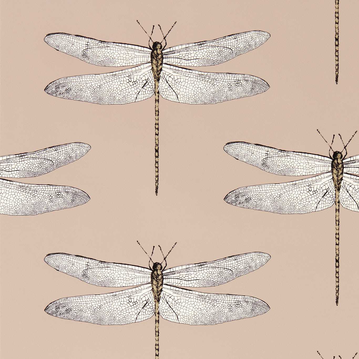 Demoiselle Wallpaper - Positano/First Light/Taupe - Harlequin - HRTW113142