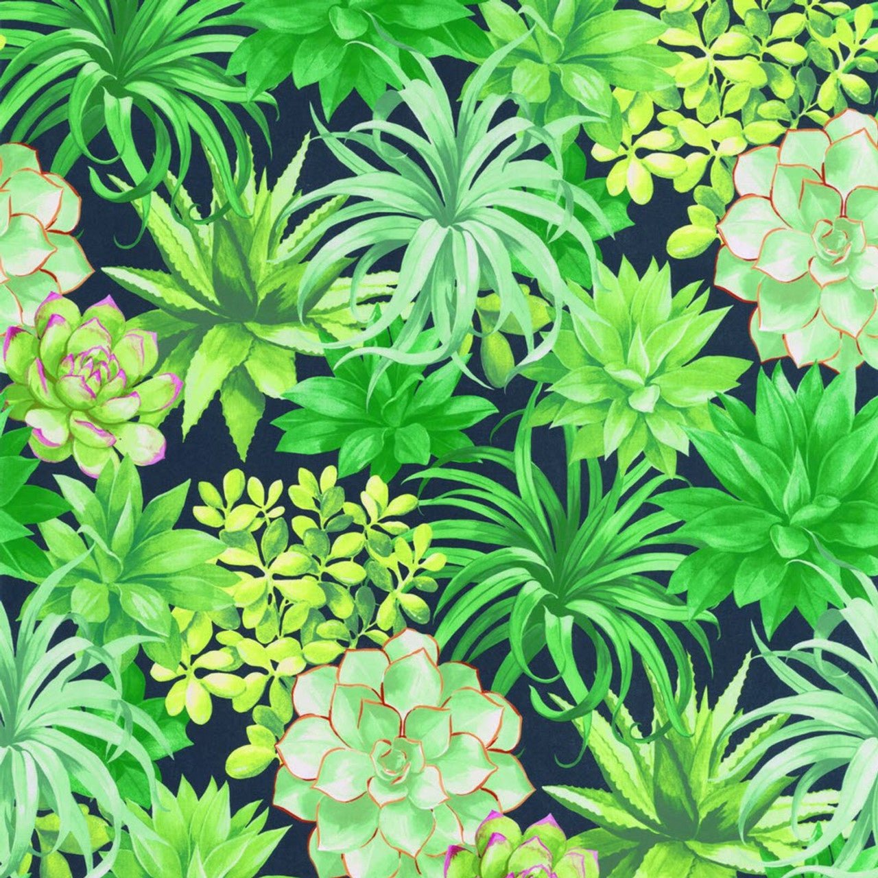 Echeveria Botanica Wallpaper - Vert Jungle - Casadeco - 85917396 - Premier Wallcovering