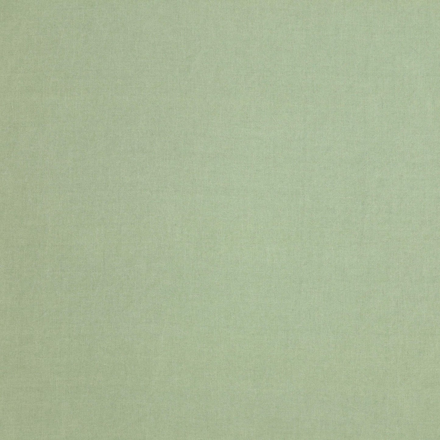 Fabry Fabric - Lichen - Manuel Canovas - 04985/13 - Premier Wallcovering