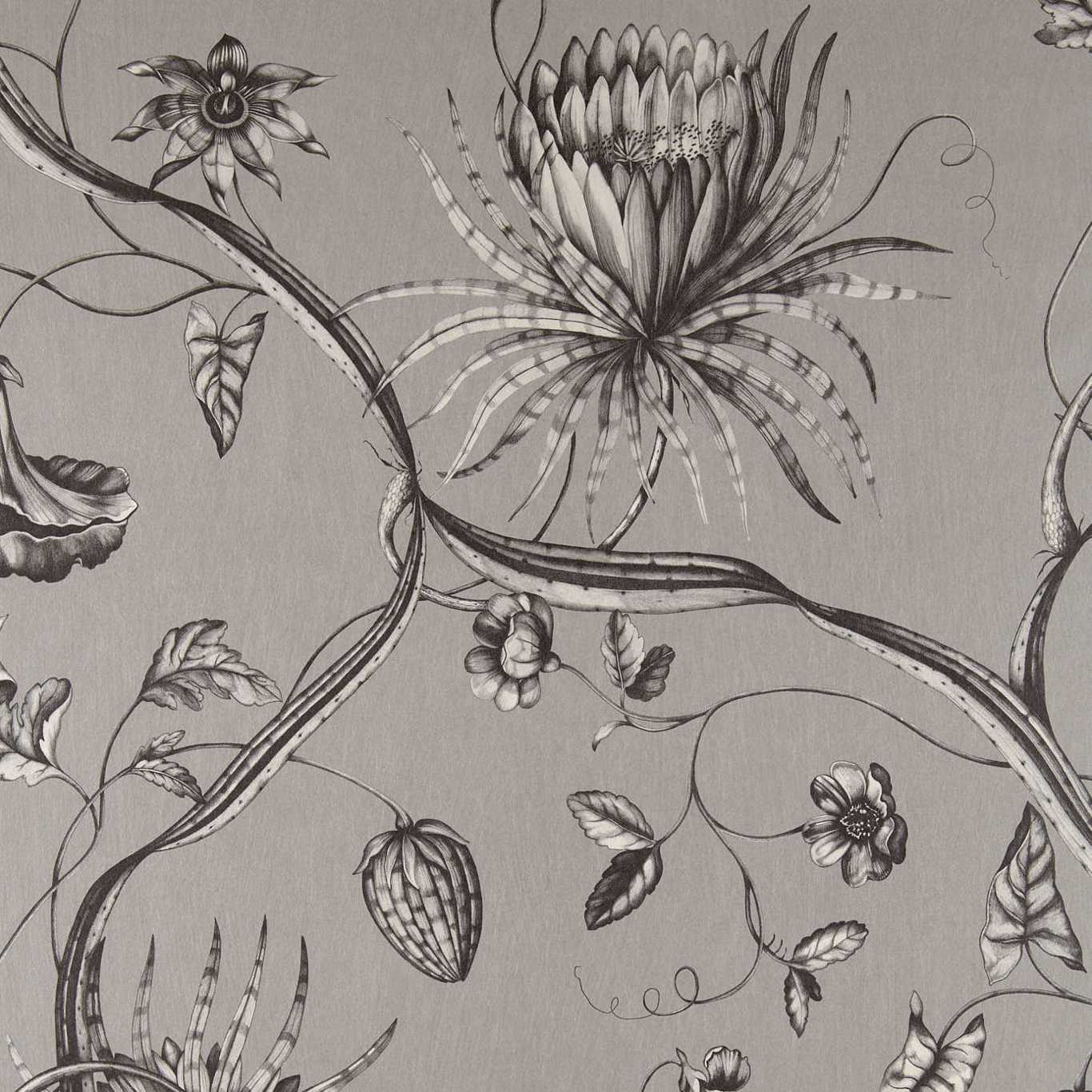 Phaedra Wallpaper - Silver - Zoffany - ZPHA312621 - Morris Wallpaper