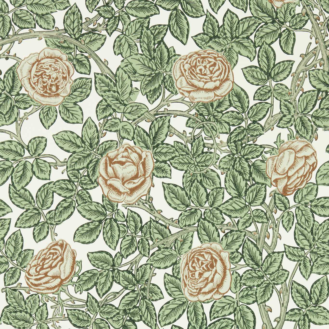 Rambling Rose Wallpaper - Leafy Arbour/Pearwood - 217208 - Morris & Co - Premier Wallcovering