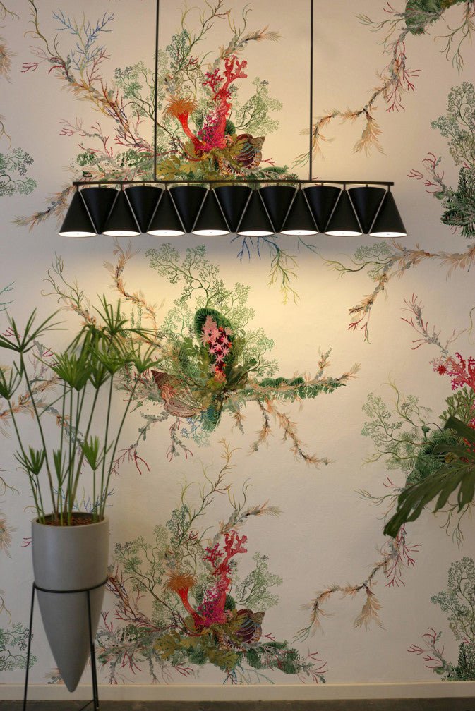 Seaweed And Shell Wallpaper - White - Timorous Beasties - SSC/SWS/STCB/02 - Premier Wallcovering
