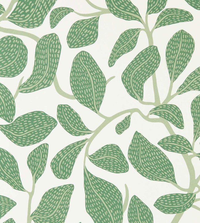 Sweet Bay Wallpaper - Forest - Scion - NSCW113268