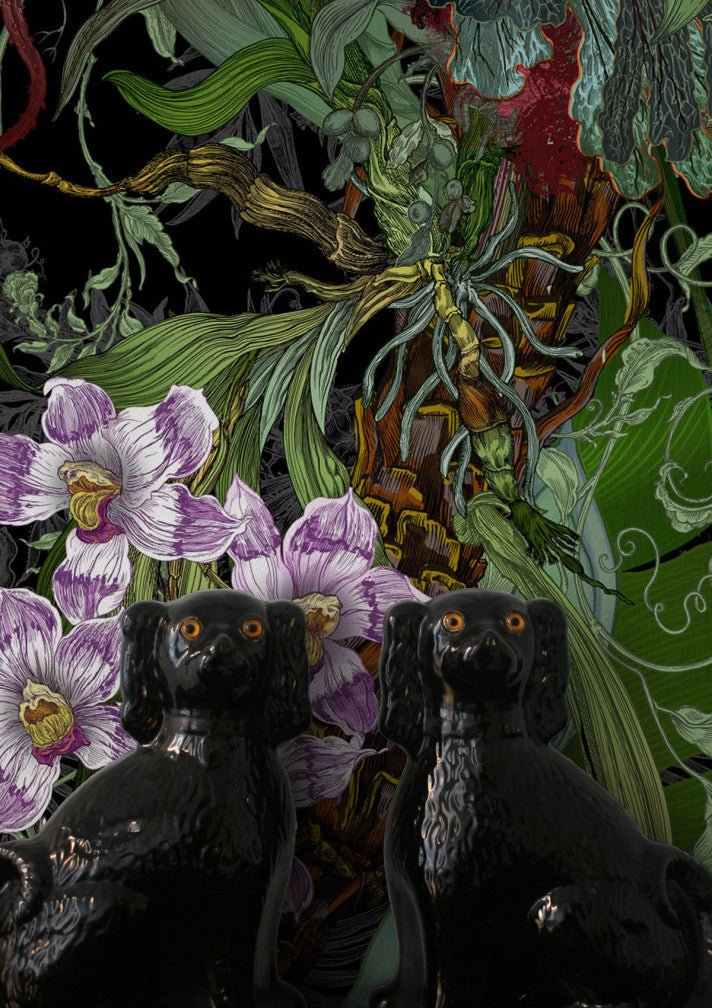 Topical Tropical Superwide Wallpaper - Black - Timorous Beasties - DWN/TOPT/OBRN/03 - Premier Wallcovering