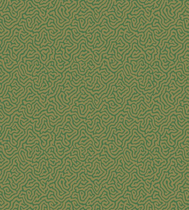 Vermicelli Wallpaper - Metallic Gold on Emerald - 107/4022 - Cole & Son - Premier Wallcovering