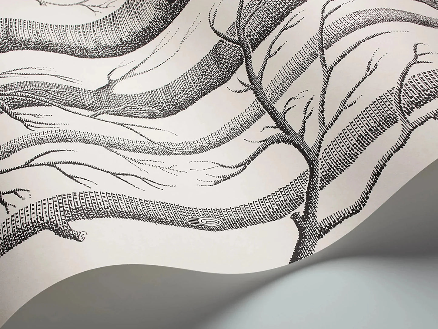 Woods Wallpaper - Black on White - 69/12147 - Cole & Son - Premier Wallcovering
