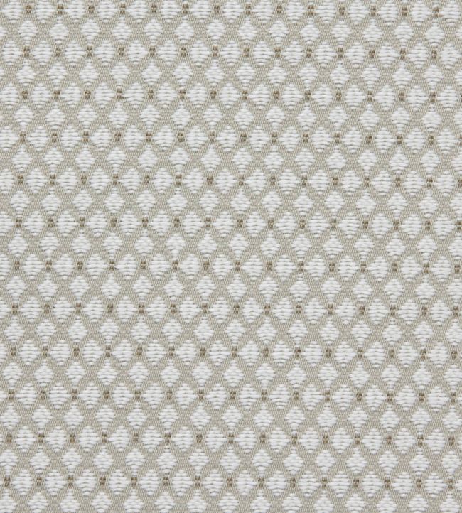 Club Fabric - Gray