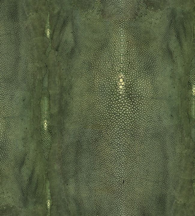 Precieux Wallpaper - Green