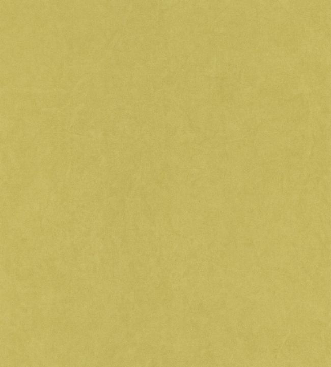 Kiosque Wallpaper - Green