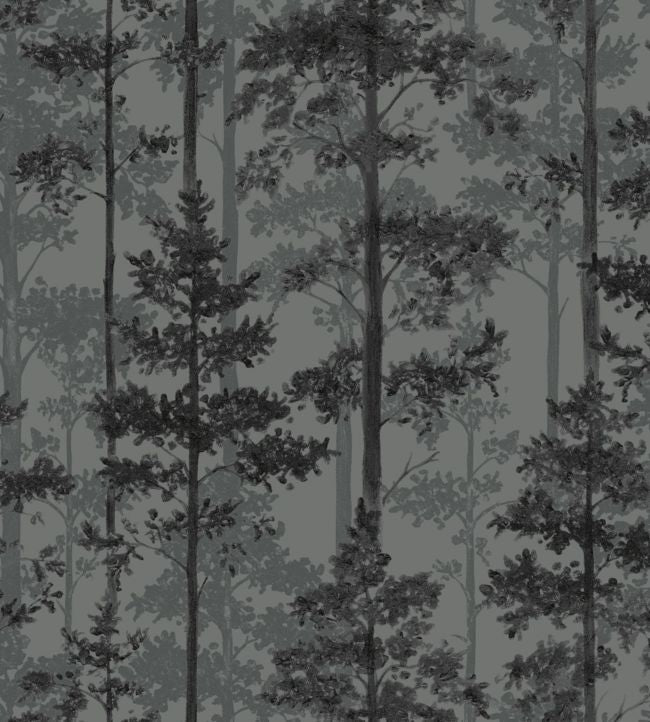 Pine Wallpaper - Gray