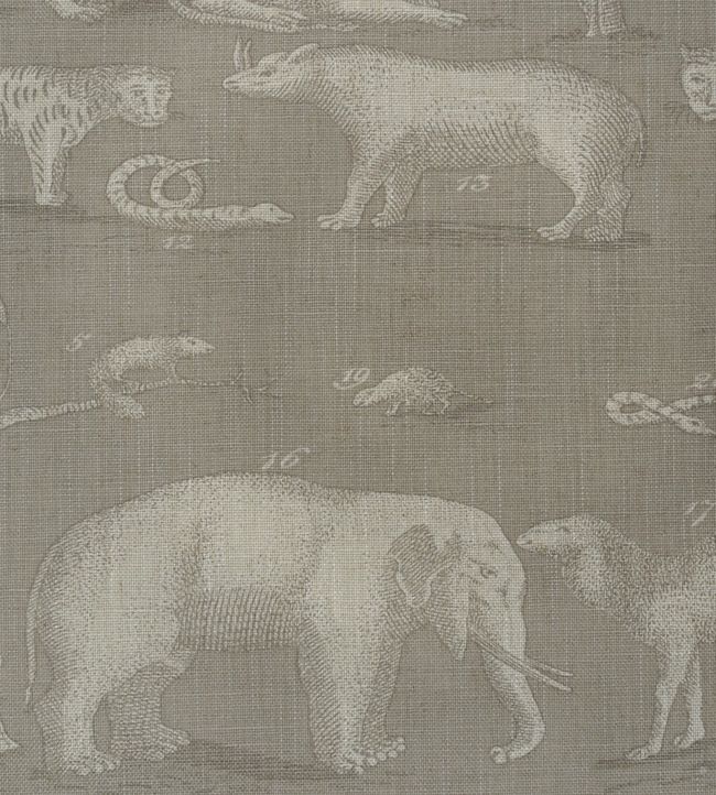 Kingdom Fabric - Brown