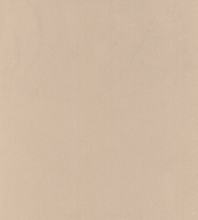 Houdini Velvet Fabric - Sand