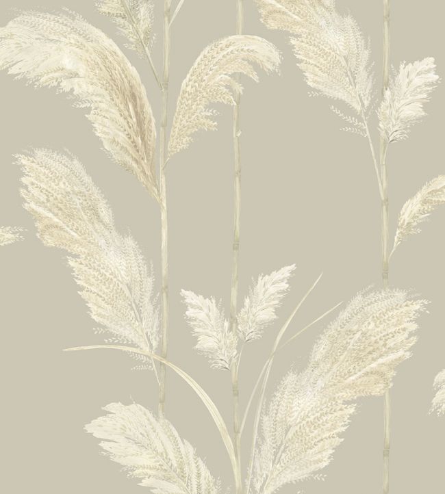 BMTD001-10C - Pampas Grass Wallpaper - Oatmeal - Brand McKenzie