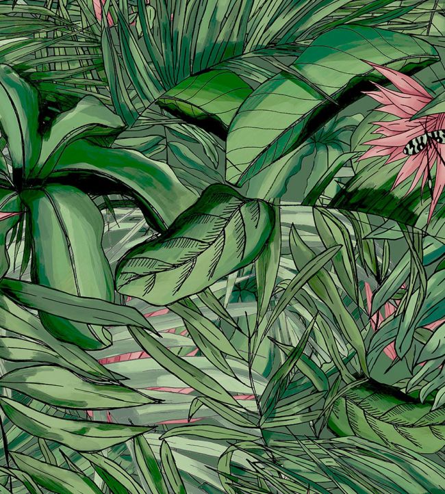 BMTD001-15A - Tropical Forest Wallpaper - Dark Green & Pink - Brand McKenzie