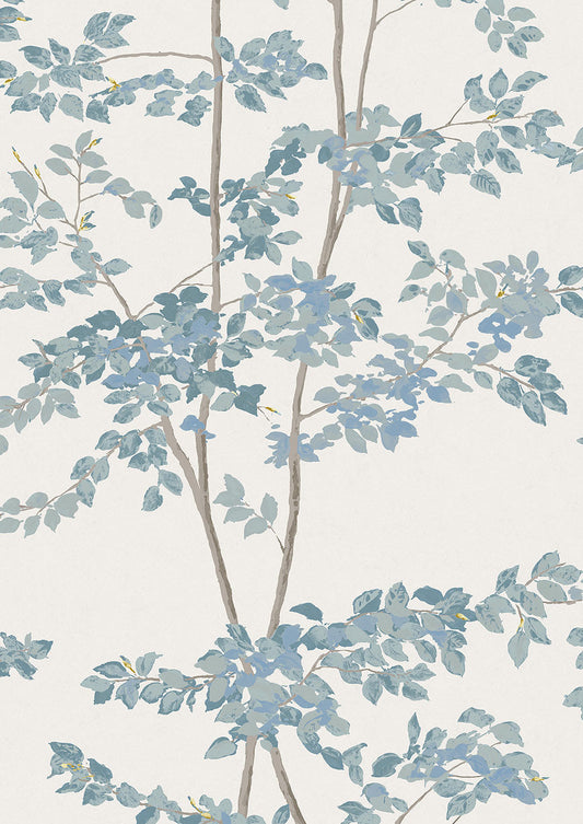 Beech Wallpaper - Bluegrass - Lewis & Wood
