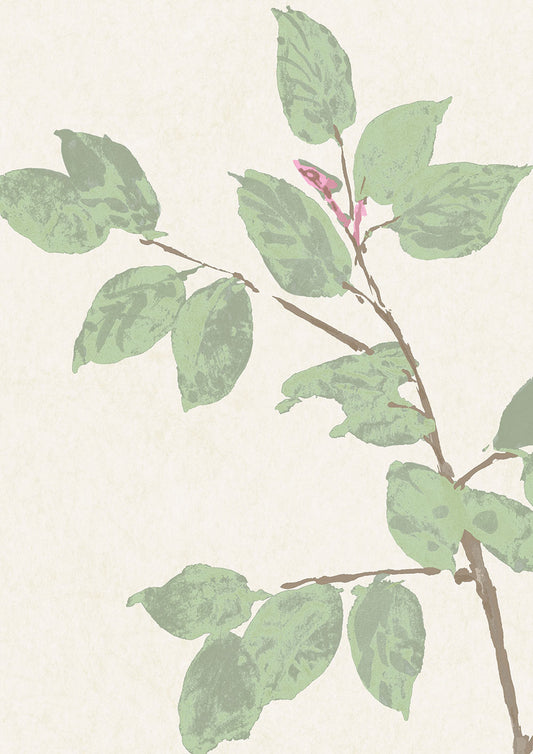 Beech Wallpaper - Document Green - Lewis & Wood